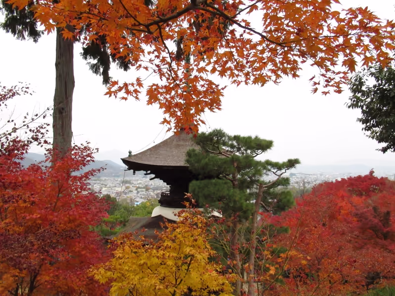 Kyoto Private Tour - Tahoto Pagoda of Jojako-ji Temple, Arashiyama