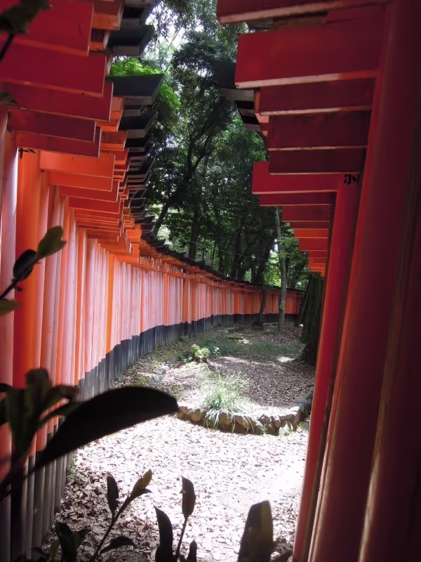 Kyoto Private Tour - Fushimi Inari Grand Shrine,  A thousand Trii Gates.