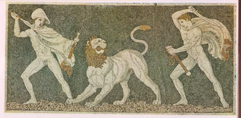 Thessaloniki Private Tour - Hunting of a Lion Mosaic