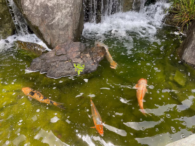 Fukuoka Private Tour - Japanese Garden