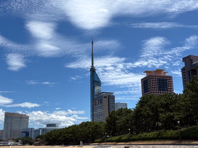 Fukuoka Private Tour - Fukuoka Tower