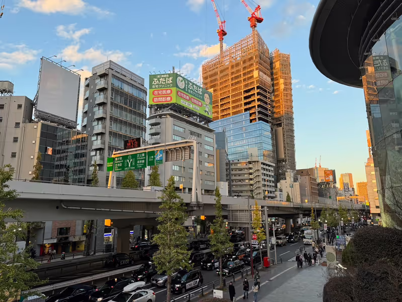 Tokyo Private Tour - Roppongi, an international neighboorhood in Tokyo