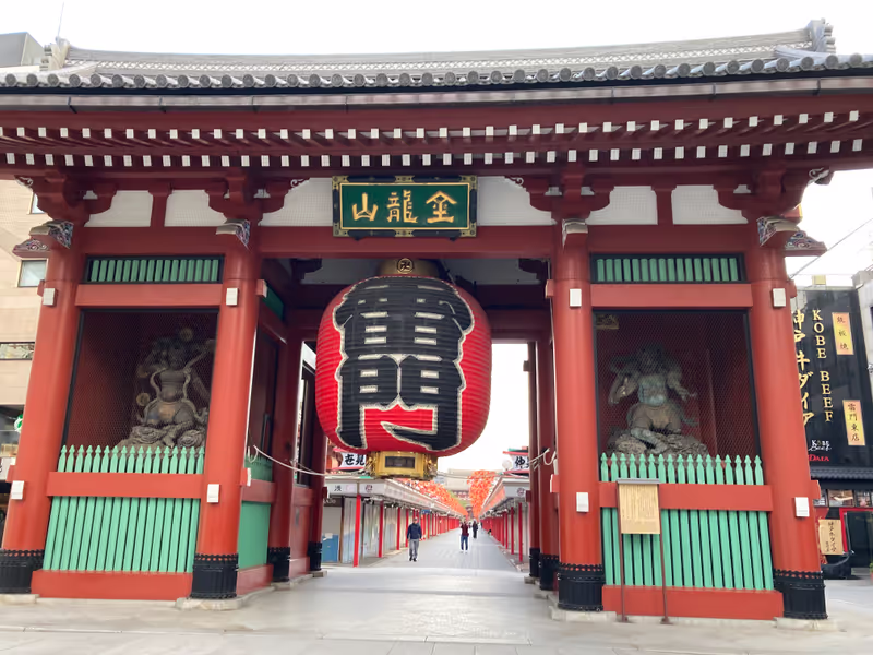 Tokyo Private Tour - Gate of Thunder