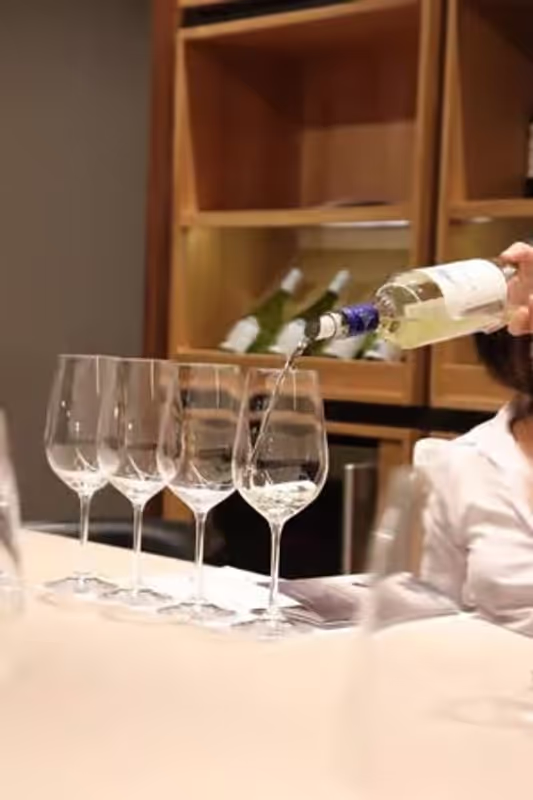 Santiago Private Tour - 
