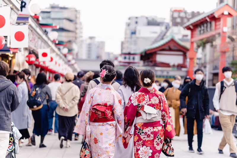 Tokyo Private Tour - Step into a world of charm and tradition: