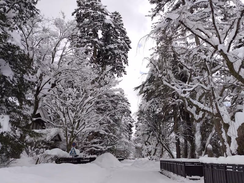 Akita Private Tour - Samurai House Street (January)