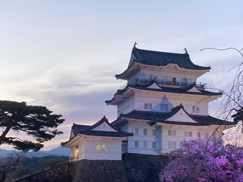 Tokyo Private Tour - Chateau d'Odawara