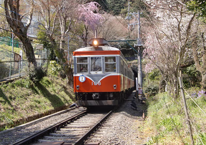 Tokyo Private Tour - 