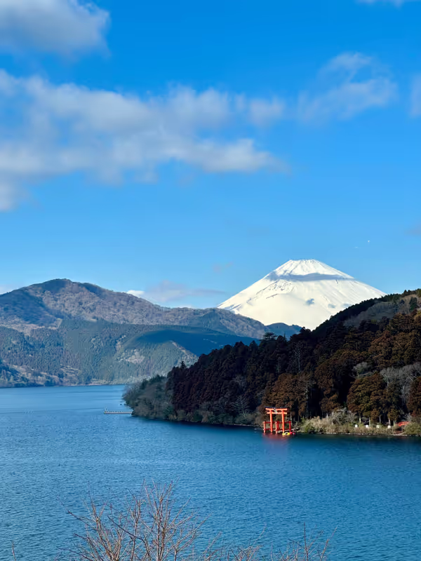 Tokyo Private Tour - 