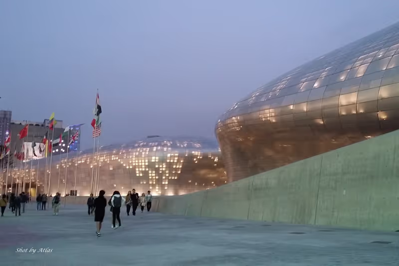 Seoul Private Tour - Dongdaemun DDP