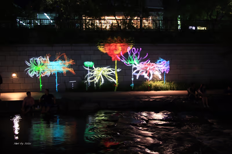Seoul Private Tour - Cheonggyecheon stream