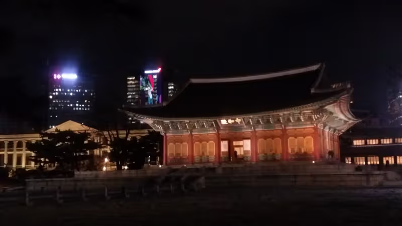 Seoul Private Tour - Deoksugung palace