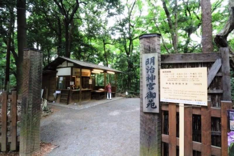 Tokyo Private Tour - 