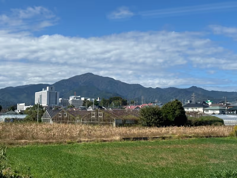 Kanagawa Private Tour - Mt.Oyama on sunny day