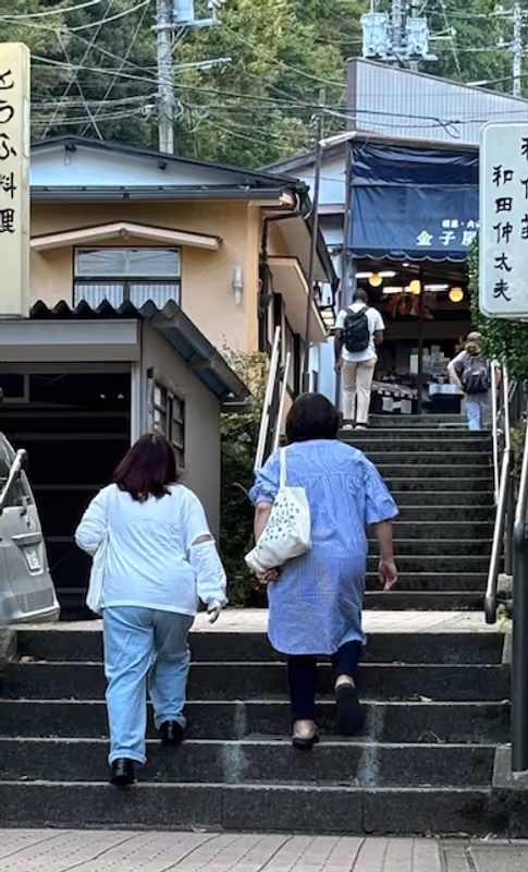 Kanagawa Private Tour - Koma-sando approach