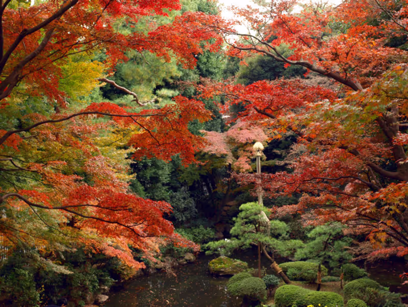 Tokyo Private Tour - Tonogayato Garden