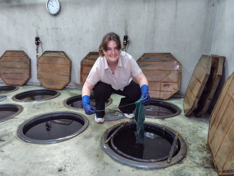 Shizuoka Private Tour - Indigo dyeing in progress