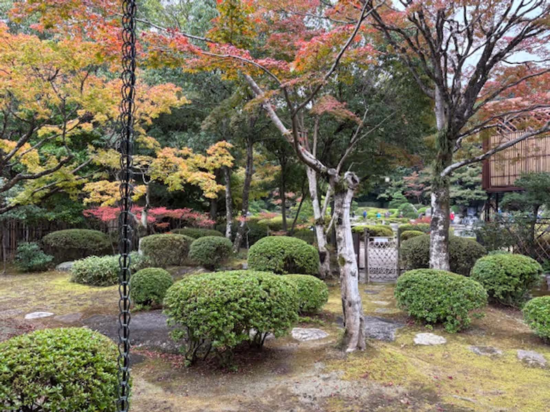 Fukuoka Private Tour - Japanese Garden
