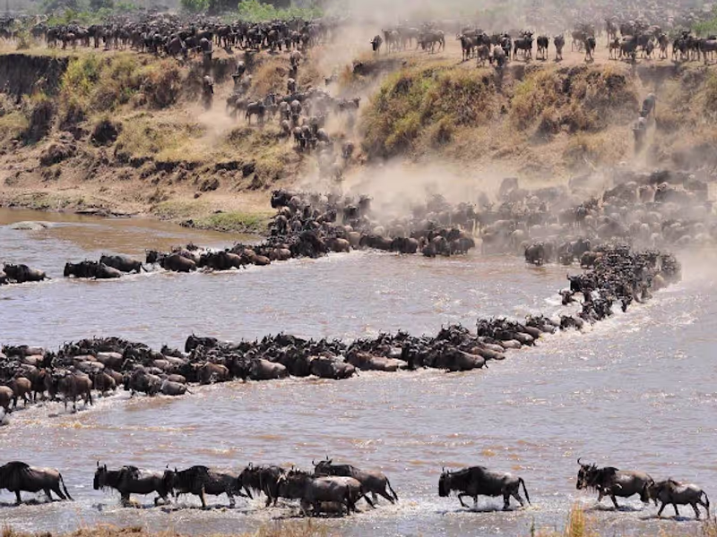 Arusha Private Tour - 