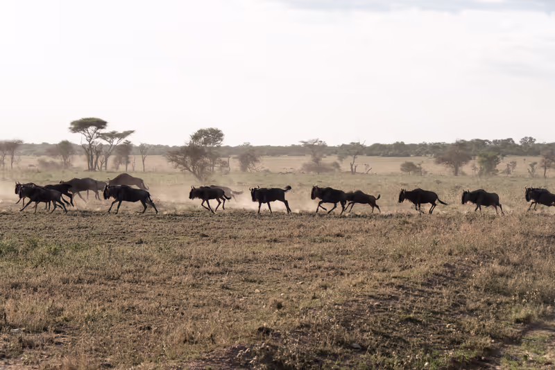 Arusha Private Tour - 