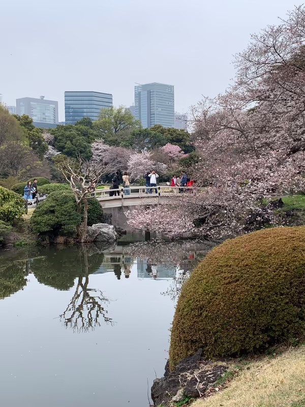 Tokyo Private Tour - ShinjukuGyoen park