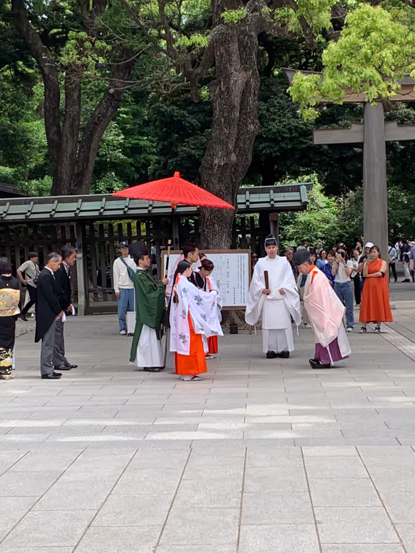Tokyo Private Tour - Wedding at Meiji shrine