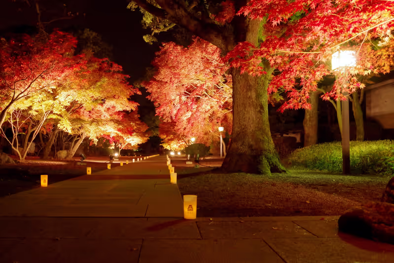Fukuoka Private Tour - Kumamoto Castle