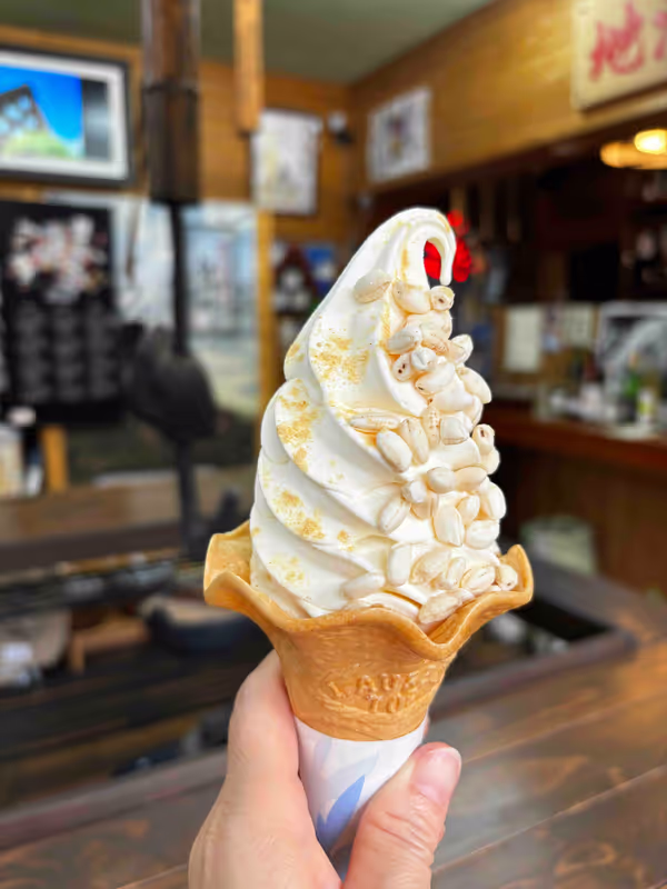 Kanazawa Private Tour - 