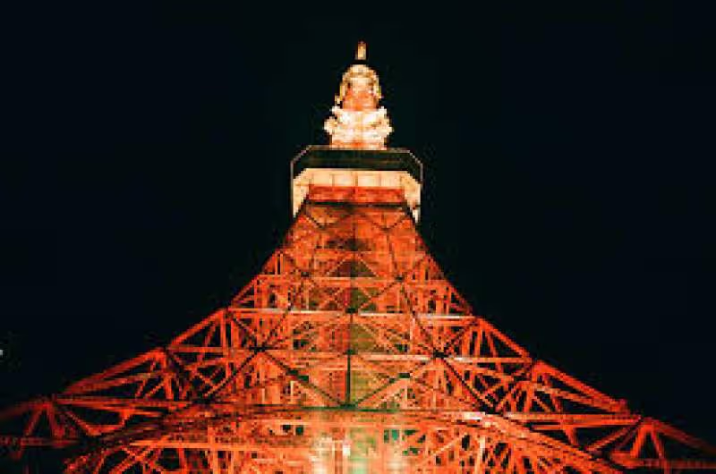 Tokyo Private Tour - Tokyo Tower with night lights.