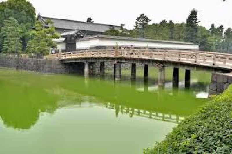 Tokyo Private Tour - Imperial Palace, Traditional and famous bridge.