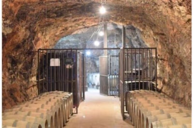 Madrid Private Tour - Peral wineries