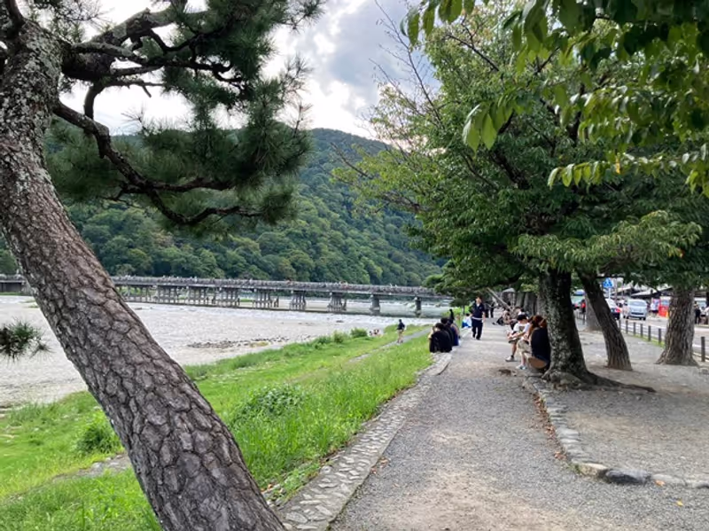 Kyoto Private Tour - Scenic Beauty at Arashiyama