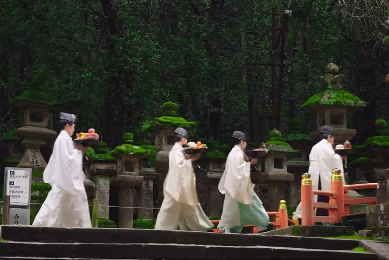 Nara Private Tour - Kasuga Taisha shrine, Nara city, Nara