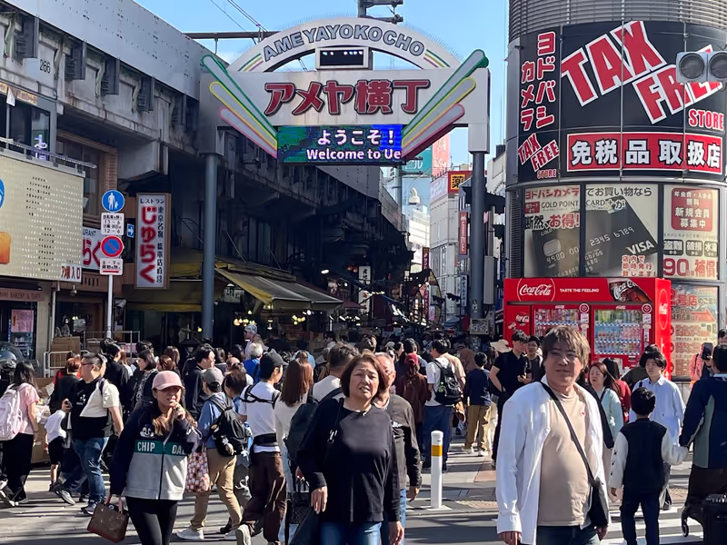 Tokyo Private Tour - Ameyoko Street