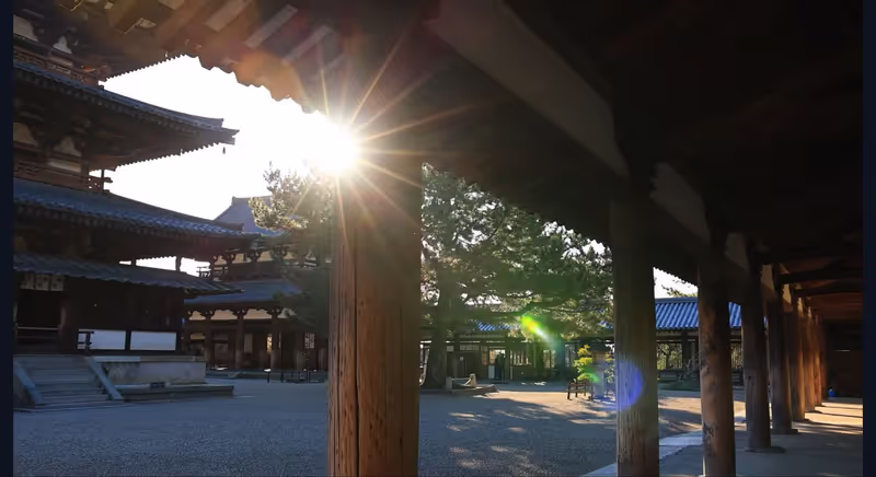 Nara Private Tour - Horyu-ji Temple, Nishino kyo, Nara