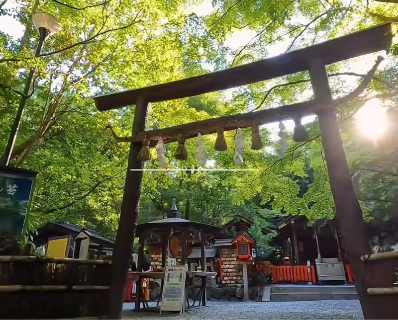 Kyoto Private Tour - Nonomiya-Shrine, Saga, Kyoto