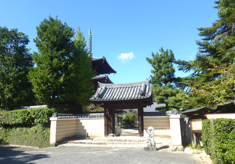 Nara Private Tour - Horinji Temple