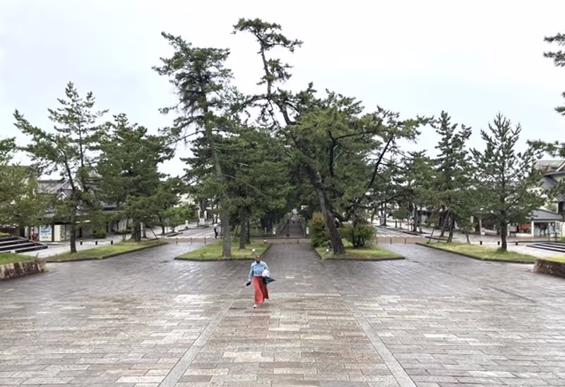 Nara Private Tour - Approach lead to Horyuji