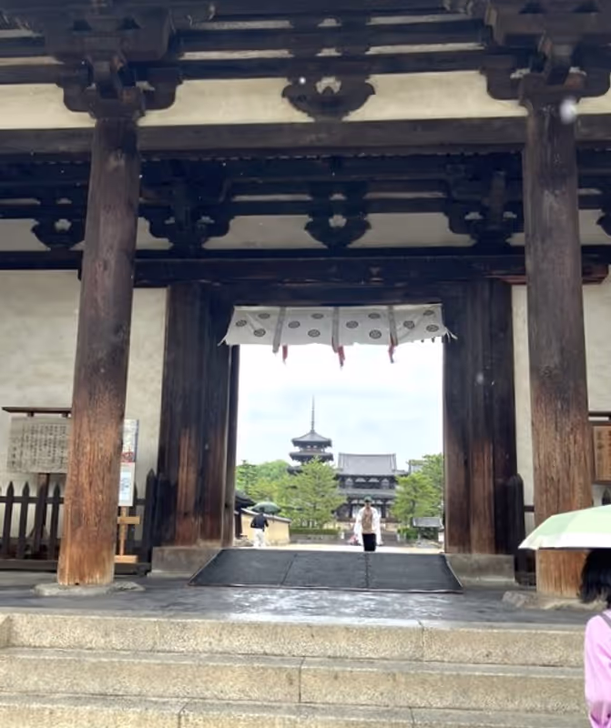 Nara Private Tour - Main gate of Horyuji