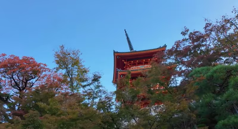 Kyoto Private Tour - Kiyomizu-dera Temple, Kyoto