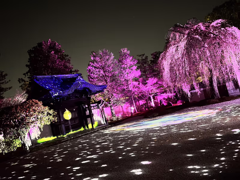 Kyoto Private Tour - Kodaiji-Temple, Kyoto