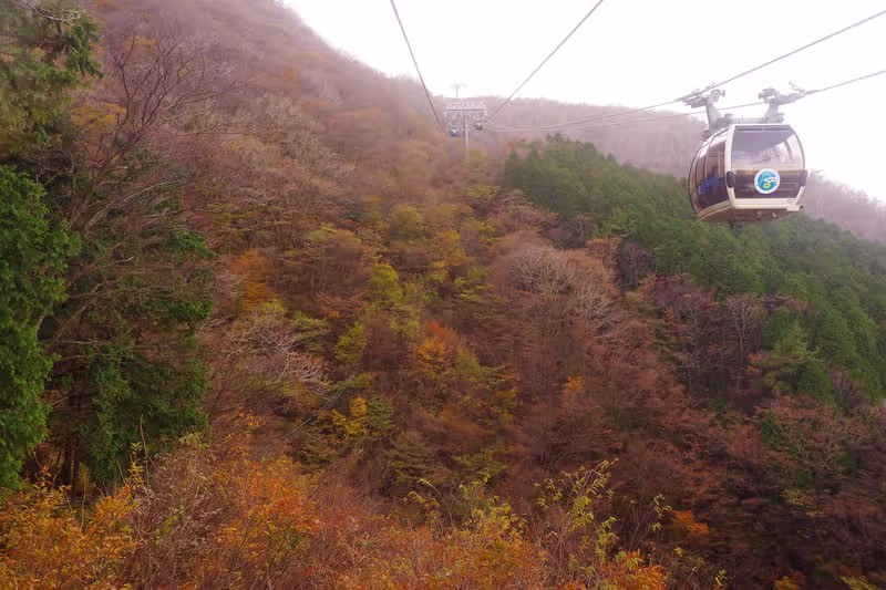 Hakone Private Tour - 