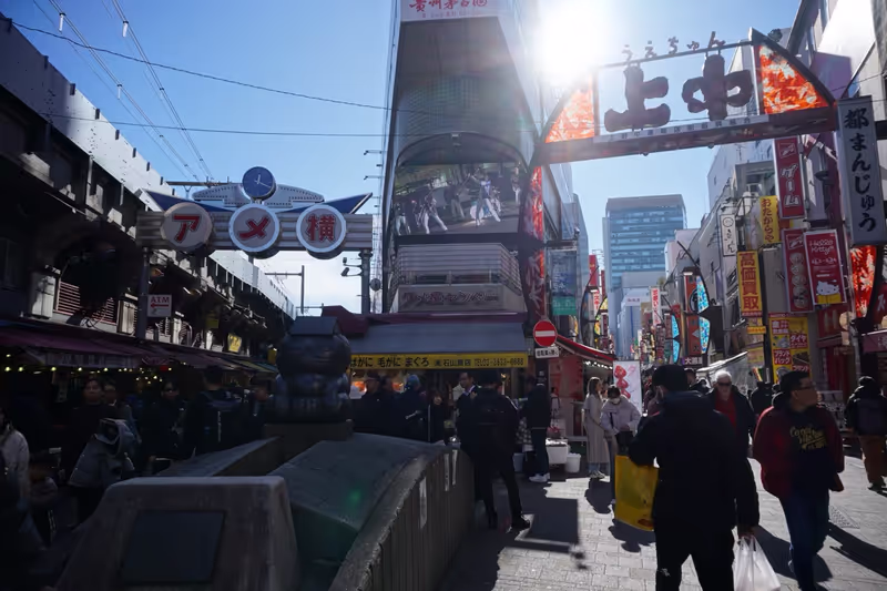 Tokyo Private Tour - 