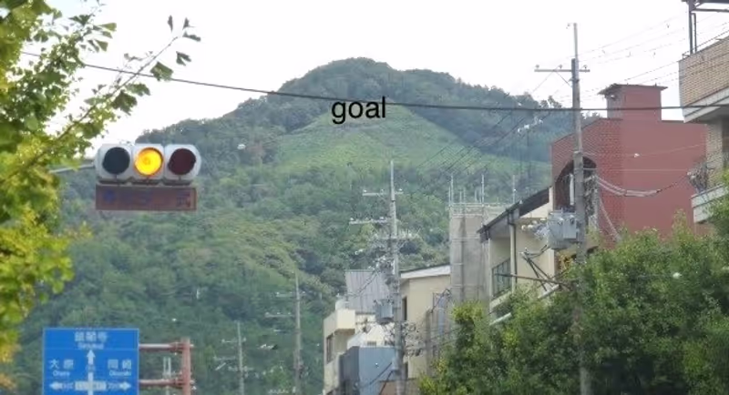 Kyoto Private Tour - tour's goal spot on the Mt.Daimonji