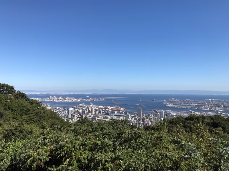 Kobe Private Tour - Looking Down over Kobe from Mt Rokko, Kobe
