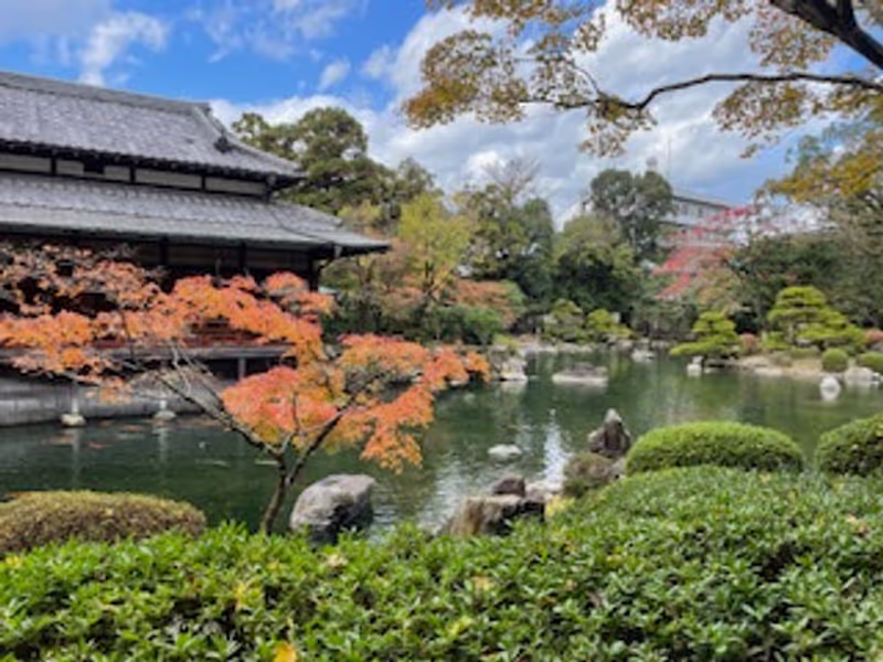 Fukuoka Private Tour - Yusentei