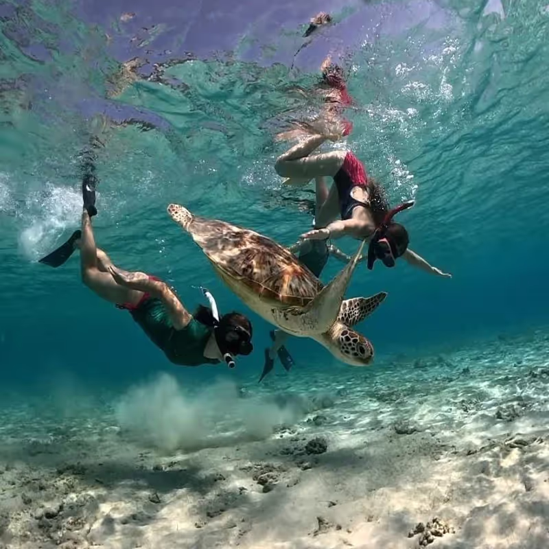 Lombok Private Tour - 