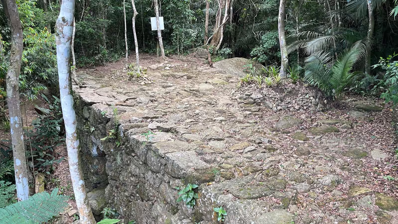 Niteroi Private Tour - Stone bridge front view