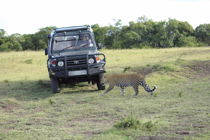 Nairobi Private Tour - 