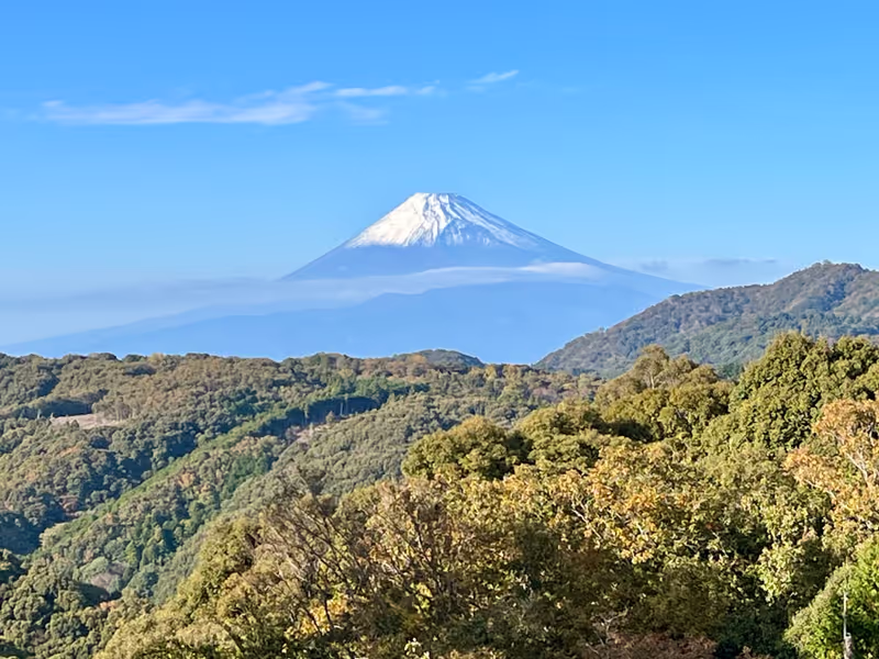 Tokyo Private Tour - Mt. Fuji from Shuzenji